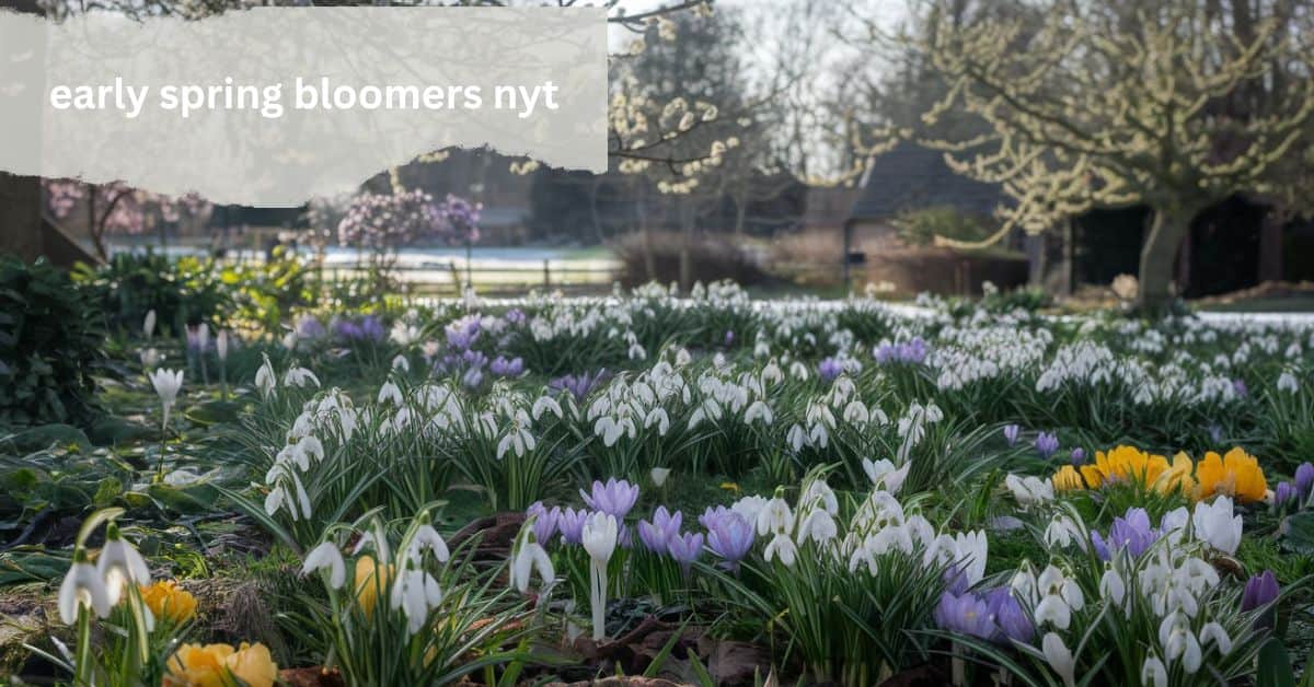 early spring bloomers nyt