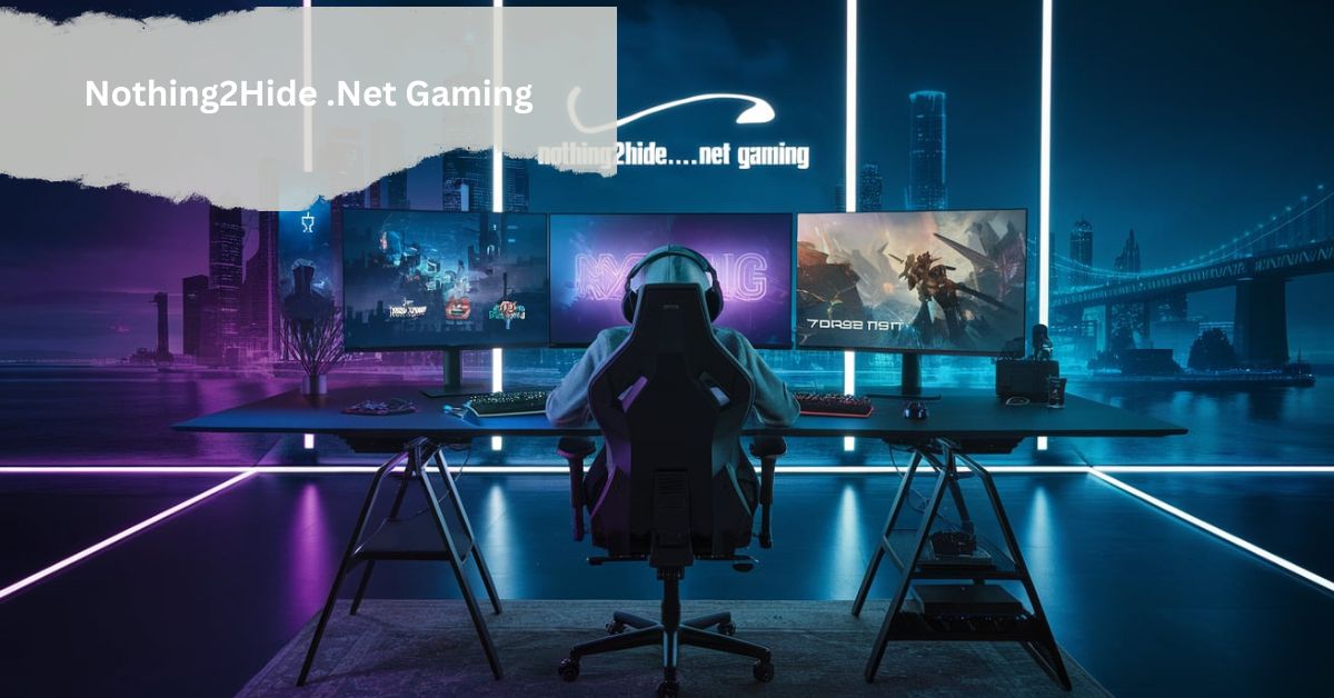 Nothing2Hide .Net Gaming