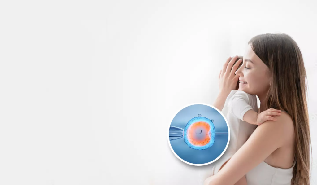 The Key Role of Infertility Specialists in IVF Success