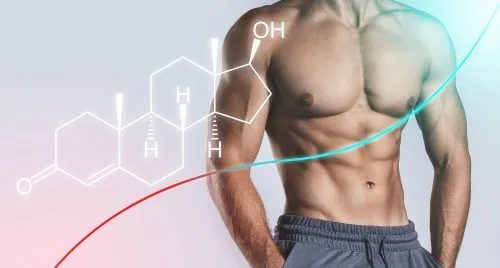 The Role of a Bioidentical Hormone Specialist in Men's Wellness